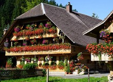 立體綠化應用｜鄉村民宿景觀提升解決方案