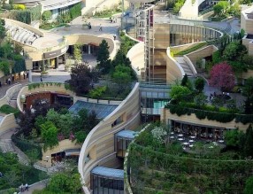 大學(xué)校園生態(tài)景觀立體綠化解決方案