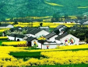 四部門印發(fā)《“十四五”鄉(xiāng)村綠化美化行動方案》，哪些亮點值得關(guān)注？