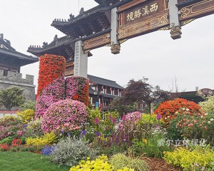 東臺(tái)西溪古鎮(zhèn)景區(qū)五一景觀提升