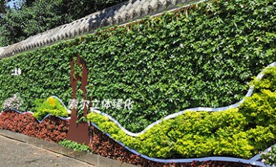 景區垂直綠化景觀提升