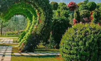 重慶花千谷花球景觀提升案例