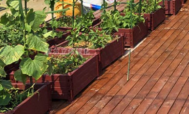 產業園區屋頂花園