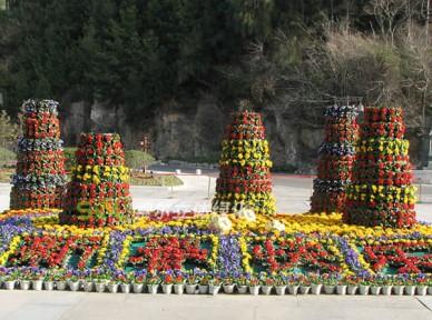 廣場景觀提升解決方案簡介