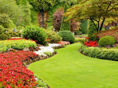 會所園林景觀解決方案簡介