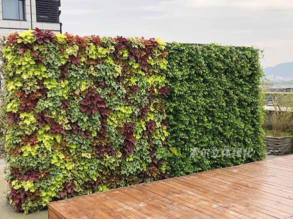 杭州西溪谷商務中心屋頂花園工程案例