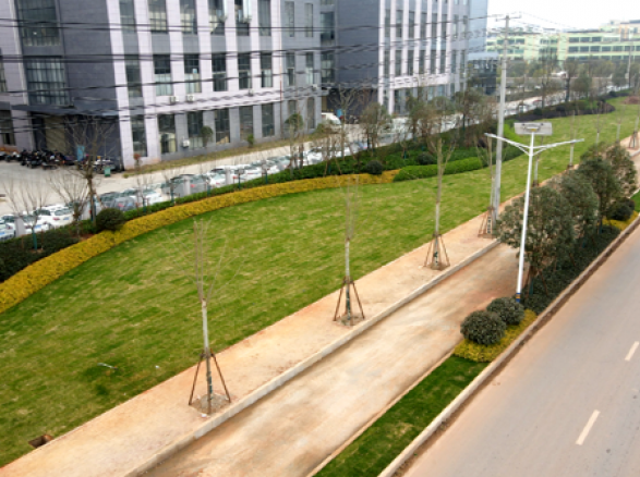 《境壩工業園大道》——南康城市道路景觀提升