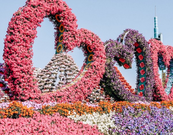 鮮花瀑布/拱門解決方案簡介2