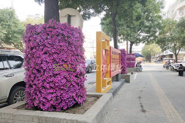 行道樹景觀設計實際效果圖