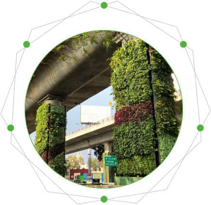 橋墩綠化的特點