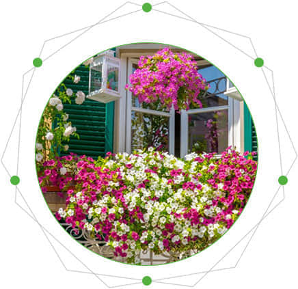 陽臺(tái)花園的特點(diǎn)