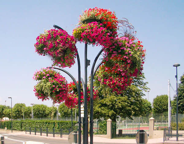 花樹解決方案簡介1