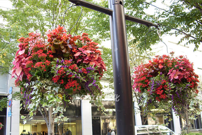 道路街道景觀提升1