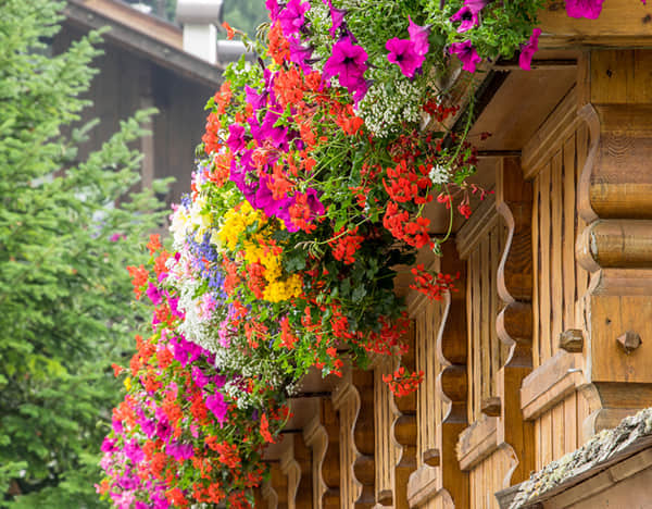 陽臺(tái)花園解決方案簡介
