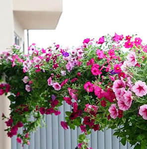 陽臺(tái)護(hù)欄雙面掛式美化