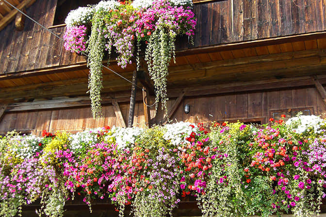 旅游小鎮(zhèn)景觀提升民宿客棧陽臺(tái)花園