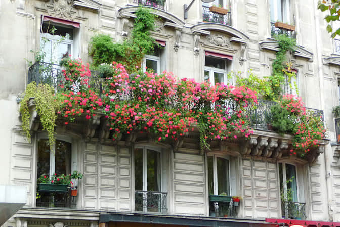 居住空間景觀提升高端別墅陽臺(tái)花園