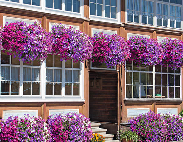 窗臺(tái)美化解決方案簡(jiǎn)介