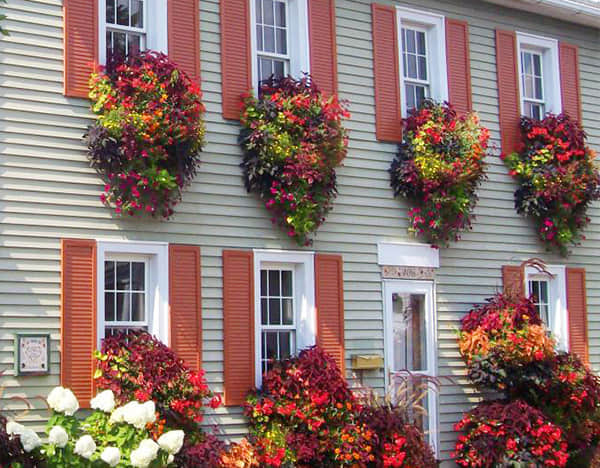 窗臺(tái)美化解決方案簡(jiǎn)介