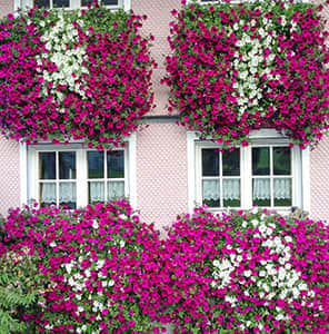 窗臺(tái)外立面美化