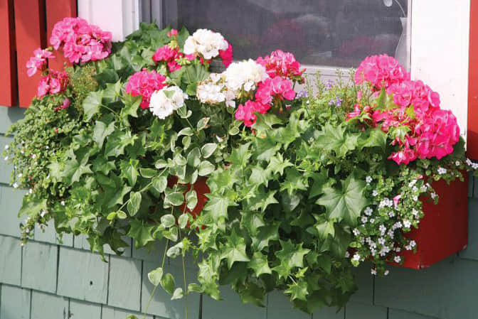 道路街道景觀提升步行街門店窗臺(tái)美化