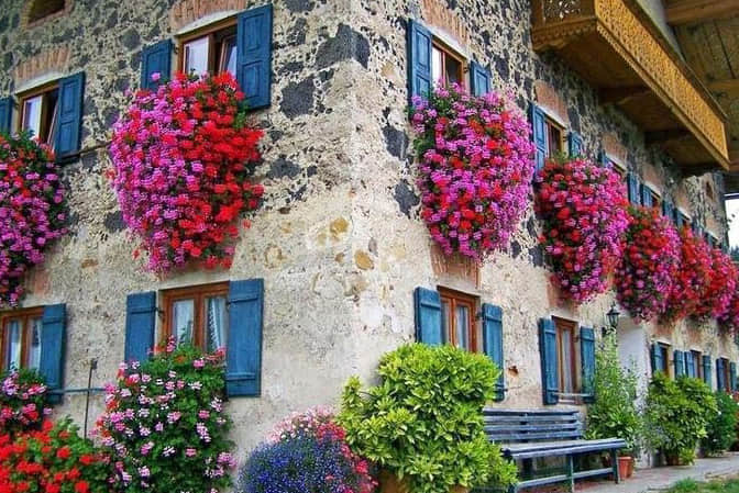 旅游小鎮(zhèn)景觀提升民宿客棧窗臺(tái)美化