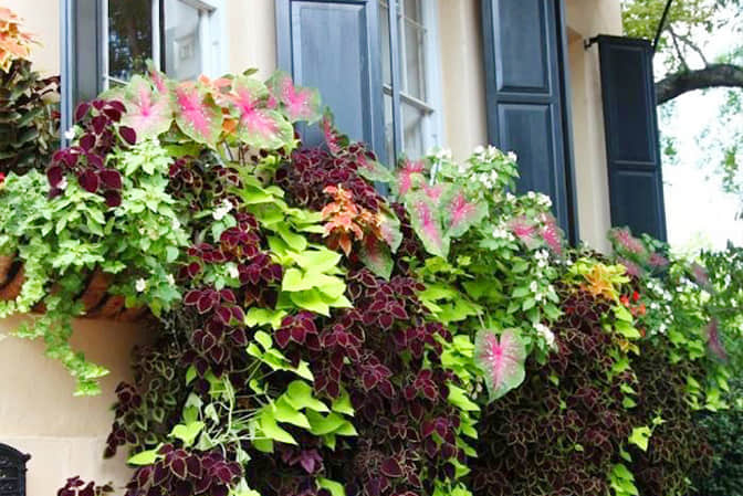 居住空間景觀提升高端公寓窗臺(tái)美化