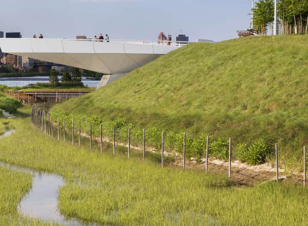 河堤綠化灌溉養(yǎng)護(hù)