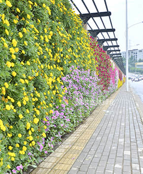 道路景觀提升解決方案