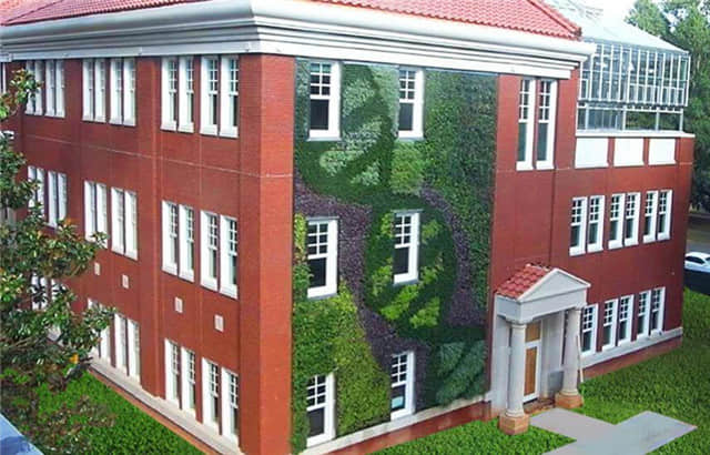 夏洛特皇后大學植物墻 (1).jpg