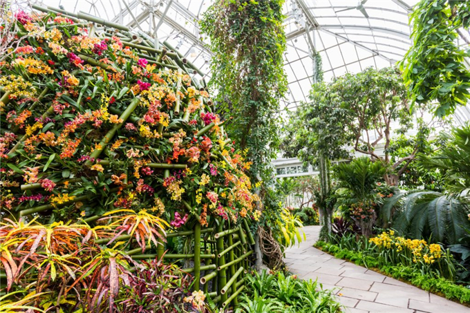 生態(tài)餐廳溫室花園 (16).jpg