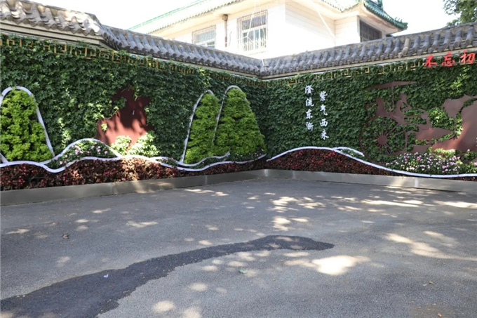 邯鄲首個“墻上花園”亮相，不但好看，還能降噪、除塵！ (5).jpg