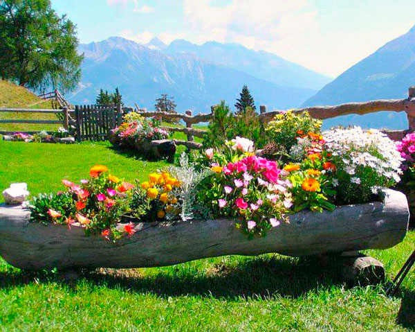 30庭院小景樹木 (14).jpg