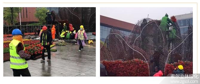 24山東青島膠州市民文化中心五一立體花壇“幸?；ㄩ_” (45).jpg