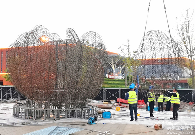 17山東青島膠州市民文化中心五一立體花壇“幸福花開” (14).jpg