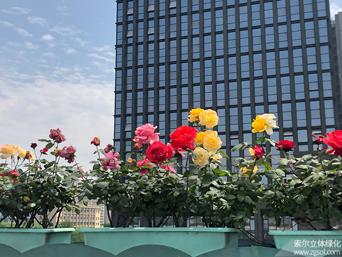 11杭州高架2021年 (48).jpg