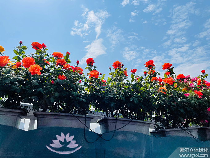 14杭州高架2021年 (3).jpg