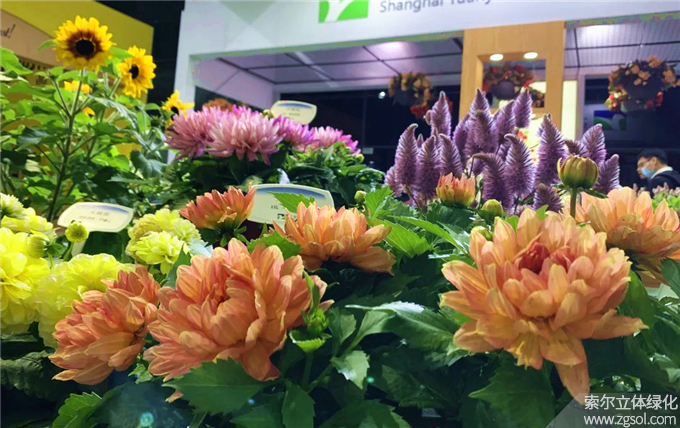 08 2021年4月15-17日第二十三屆中國國際花卉園藝展覽會上海.jpg