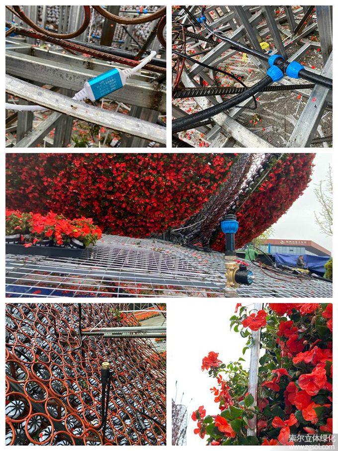 30山東青島膠州市民文化中心五一立體花壇“幸?；ㄩ_”  (13).jpg