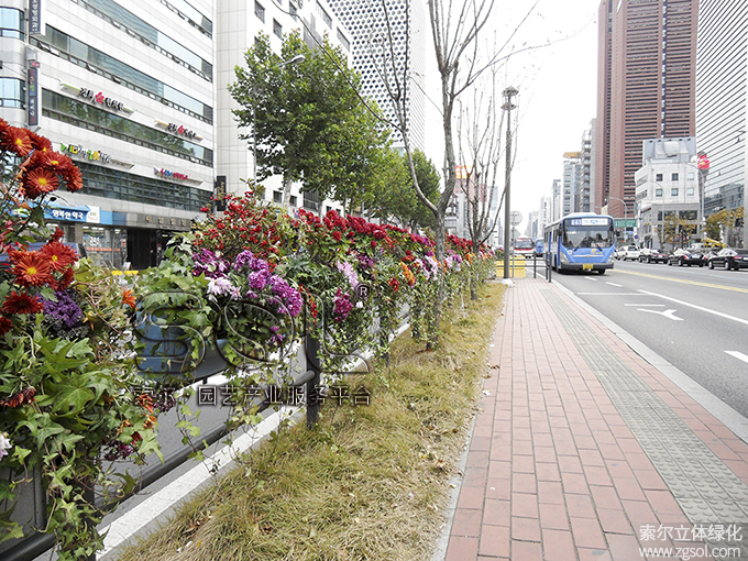 13護欄綠化 (5).jpg