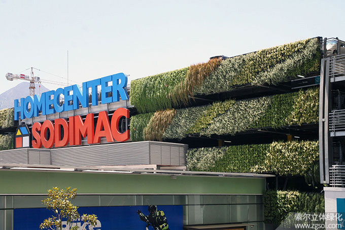 04車(chē)庫(kù)植物墻 (10).jpg