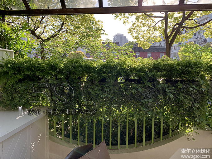 15上海別墅護欄綠化 (2).jpg