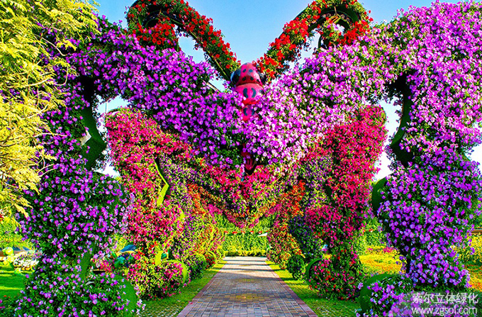 45迪拜奇跡花海 (6).jpg