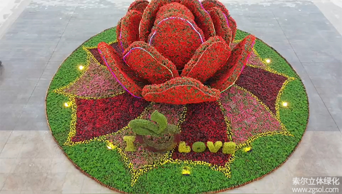 01膠州市民文化中心五一立體花壇“幸福花開” (1).jpg