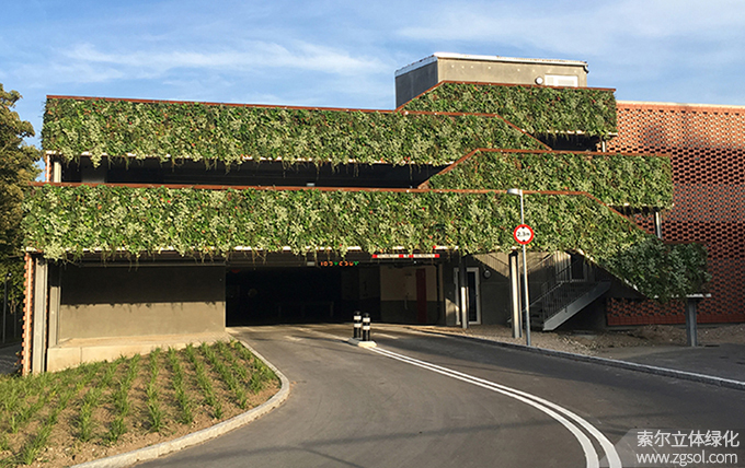 02車(chē)庫(kù)植物墻 (19).jpg